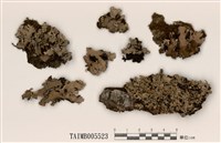 藏品(網梅衣)的圖片